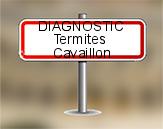 Diagnostic Termite AC Environnement  à Cavaillon